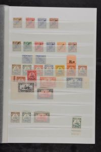 Lot 10015