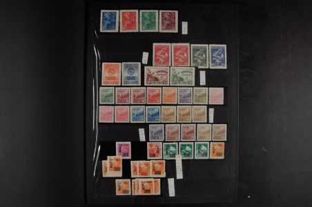 Lot 9107