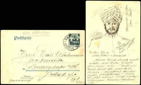 Lot 3537