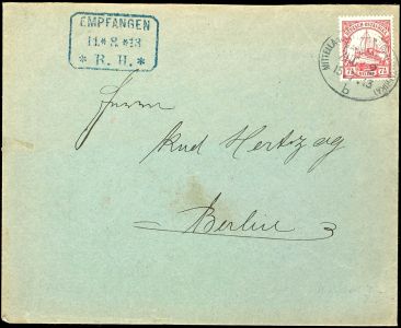Lot 5009