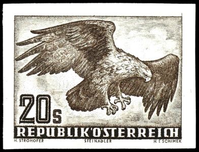 Lot 1825