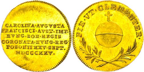 Lot 842