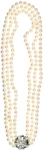 Lot 1261