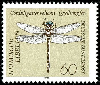 Lot 6060