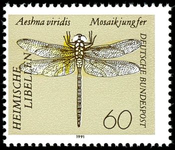 Lot 6062