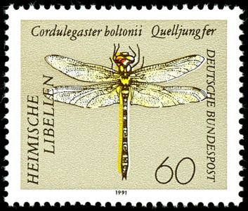 Lot 6061