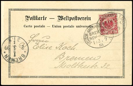 Lot 2541