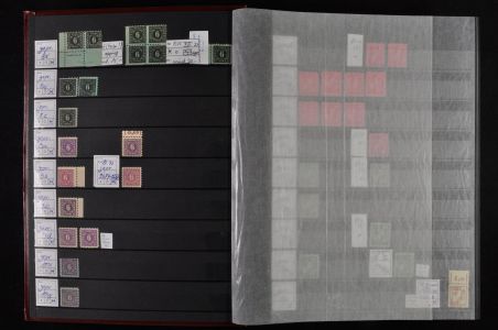 Lot 5981