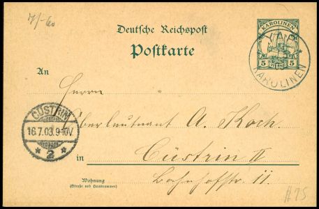 Lot 2561