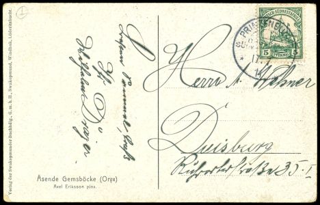 Lot 7295