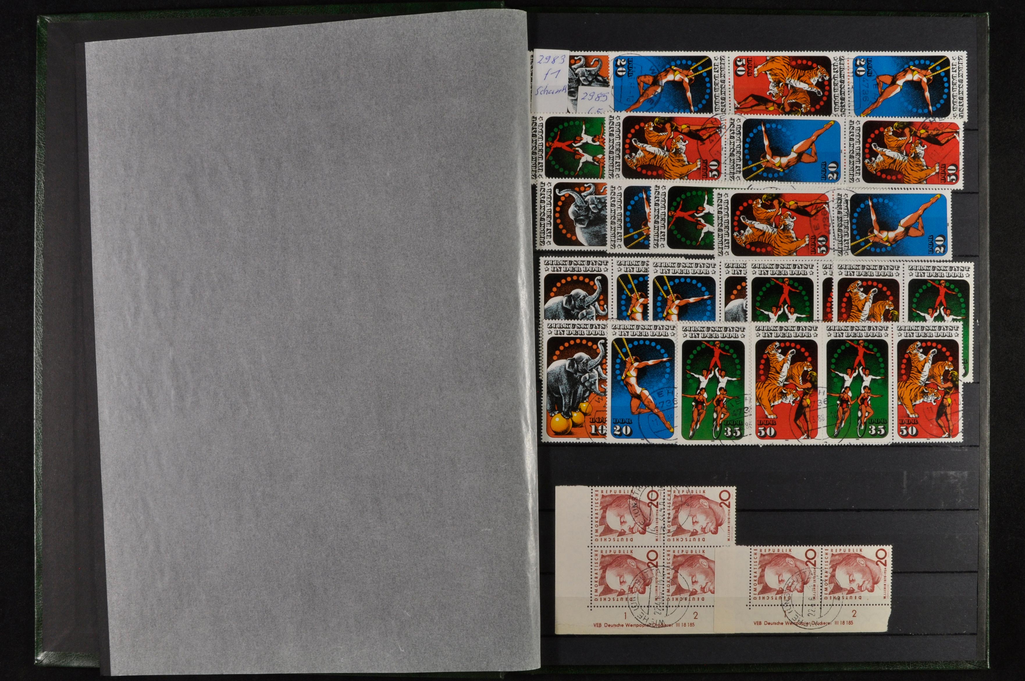 Lot 5920