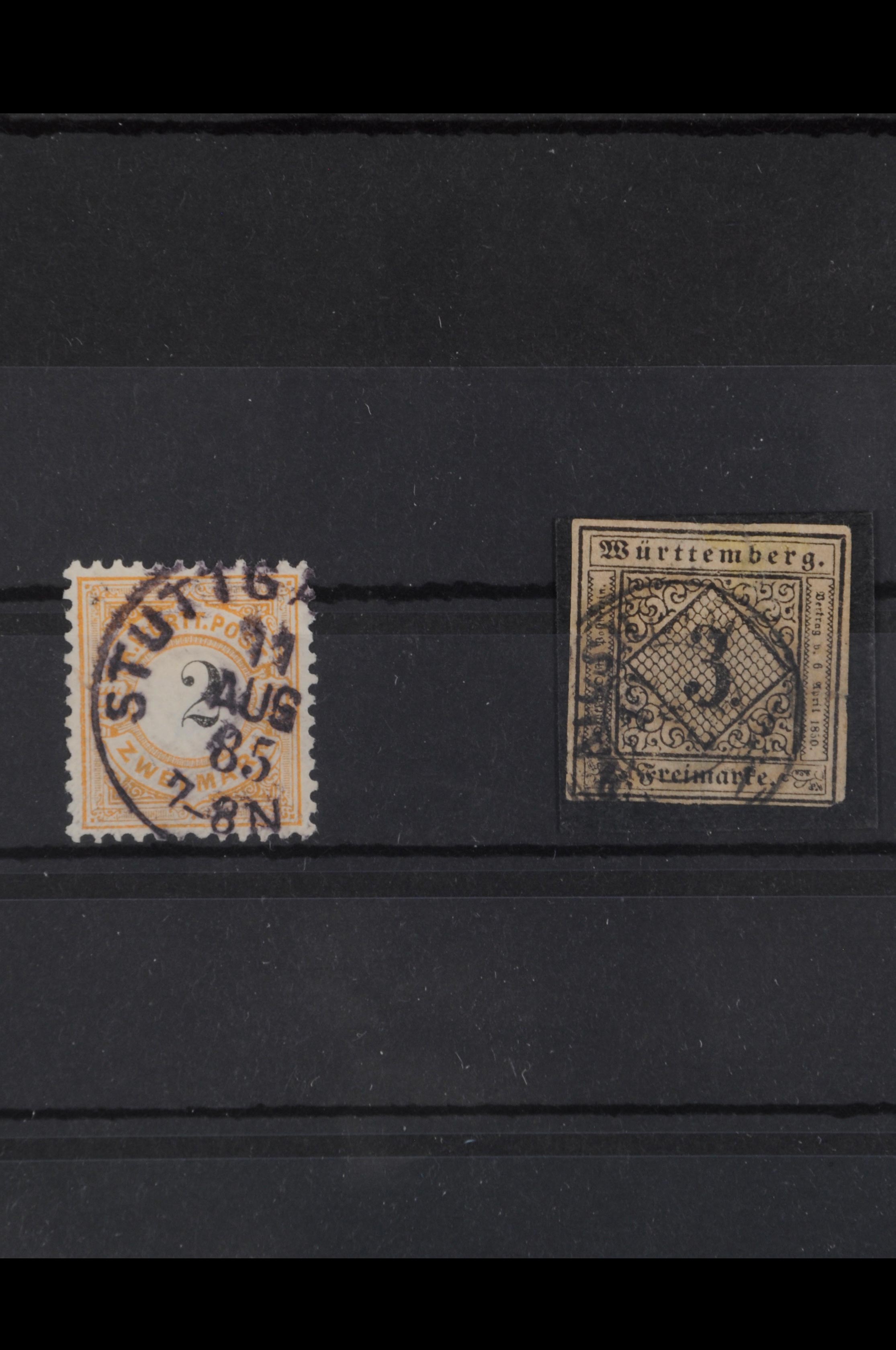 Lot 5679
