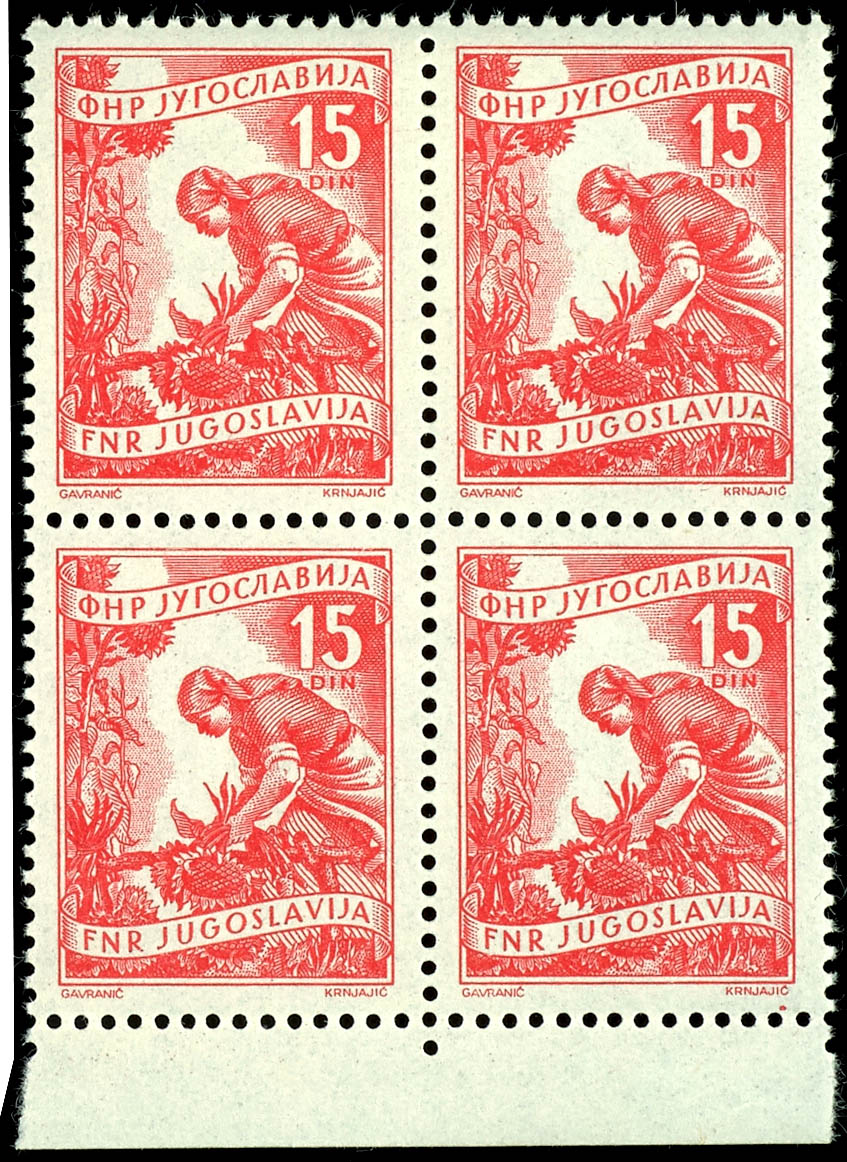 Los 5915