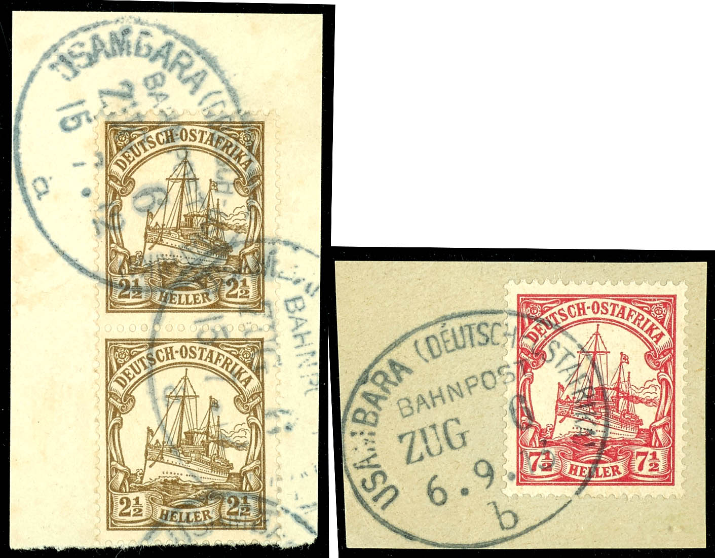 Los 2934