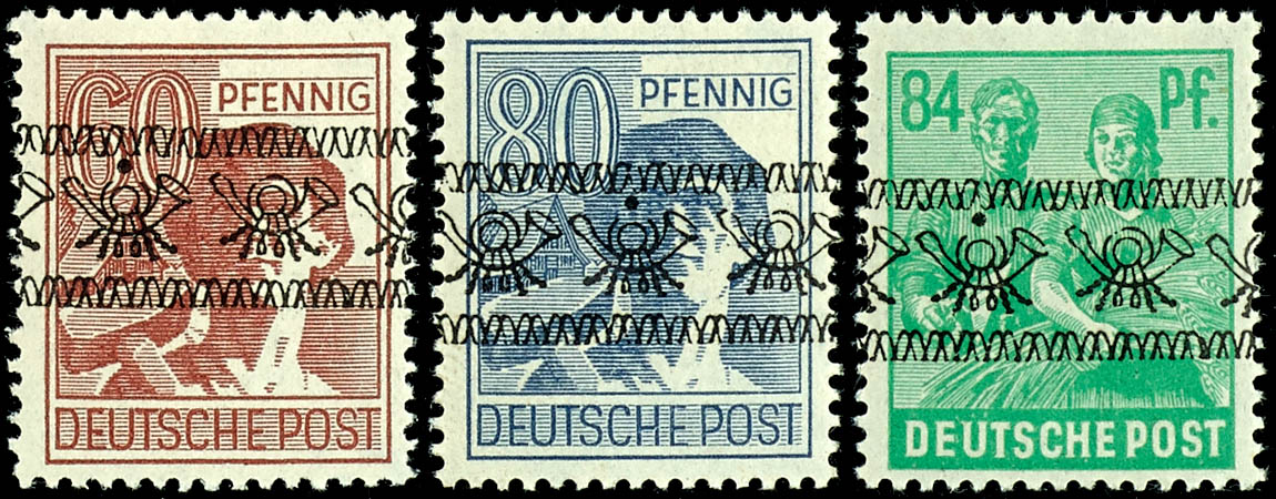 Lot 5555