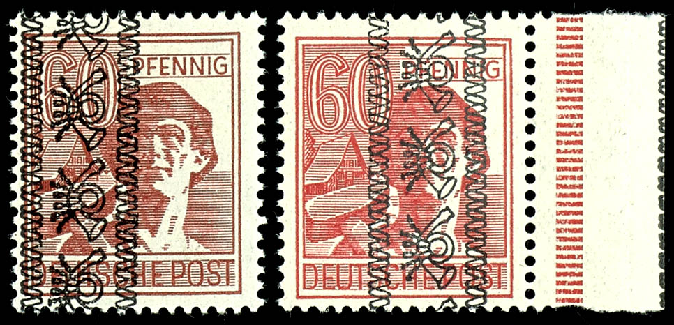 Lot 5588
